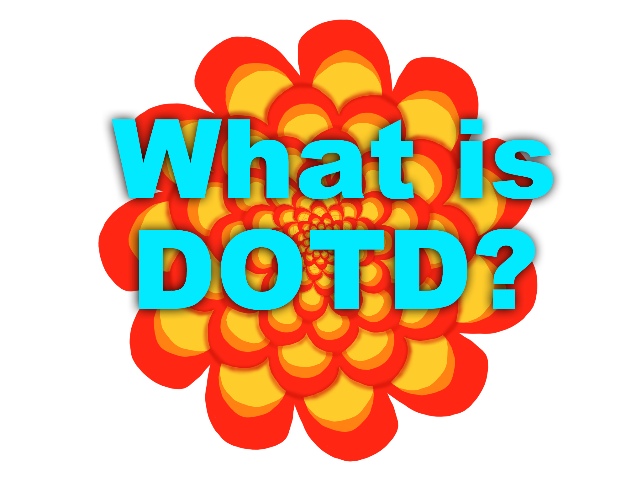 What is DOTD?